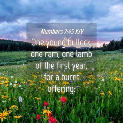 Picture 04 - Numbers 7:45 KJV - One young bullock, one ram, one lamb of the first - Bible Verse Picture