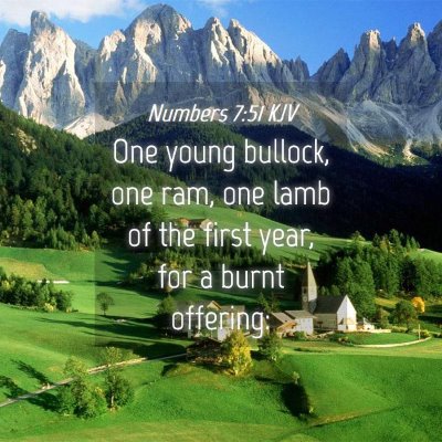Picture 04 - Numbers 7:51 KJV - One young bullock, one ram, one lamb of the first - Bible Verse Picture
