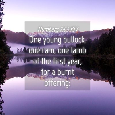 Picture 04 - Numbers 7:63 KJV - One young bullock, one ram, one lamb of the first - Bible Verse Picture