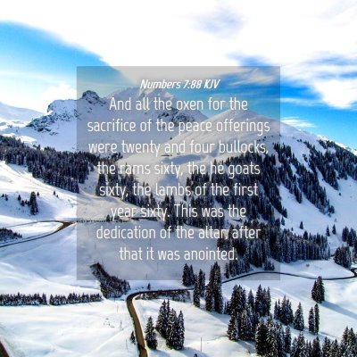 Picture 04 - Numbers 7:88 KJV - And all the oxen for the sacrifice of the peace - Bible Verse Picture