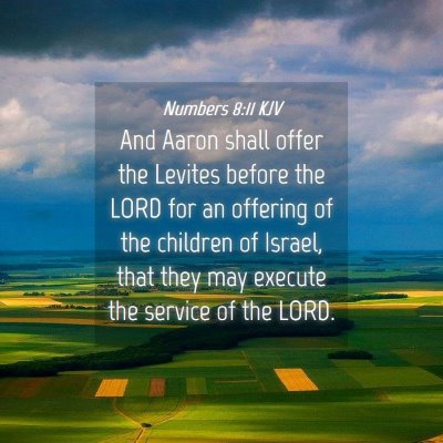 Picture 04 - Numbers 8:11 KJV - And Aaron shall offer the Levites before the LORD - Bible Verse Picture