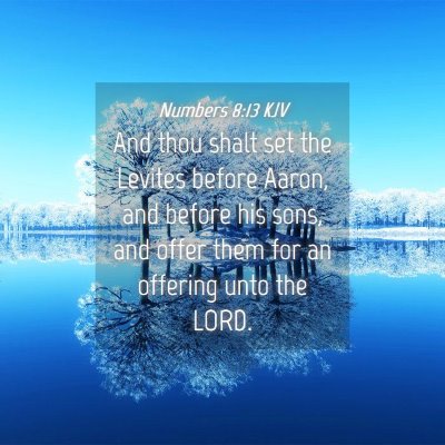 Picture 04 - Numbers 8:13 KJV - And thou shalt set the Levites before Aaron, and - Bible Verse Picture