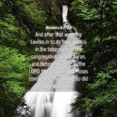 Picture 04 - Numbers 8:22 KJV - And after that went the Levites in to do their - Bible Verse Picture
