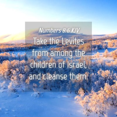 Picture 04 - Numbers 8:6 KJV - Take the Levites from among the children of - Bible Verse Picture