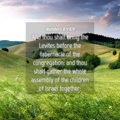 Picture 04 - Numbers 8:9 KJV - And thou shalt bring the Levites before the - Bible Verse Picture