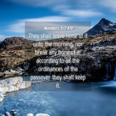 Picture 04 - Numbers 9:12 KJV - They shall leave none of it unto the morning, nor - Bible Verse Picture