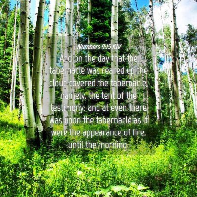Picture 04 - Numbers 9:15 KJV - And on the day that the tabernacle was reared up - Bible Verse Picture