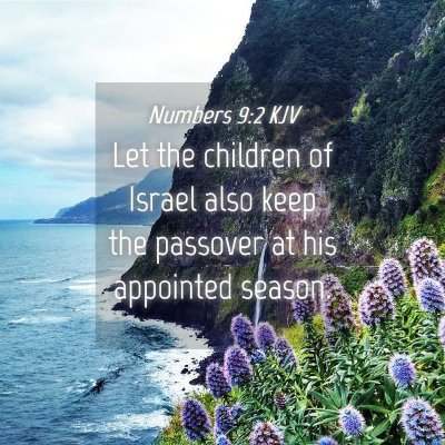 Picture 04 - Numbers 9:2 KJV - Let the children of Israel also keep the passover - Bible Verse Picture