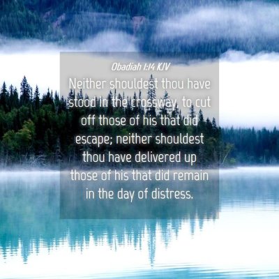 Picture 04 - Obadiah 1:14 KJV - Neither shouldest thou have stood in the - Bible Verse Picture