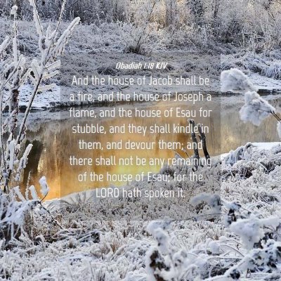 Picture 04 - Obadiah 1:18 KJV - And the house of Jacob shall be a fire, and the - Bible Verse Picture