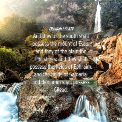 Picture 04 - Obadiah 1:19 KJV - And they of the south shall possess the mount of - Bible Verse Picture
