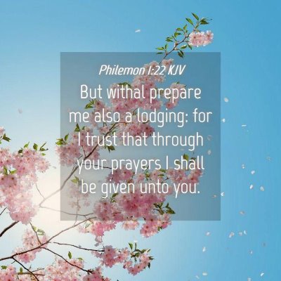 Picture 04 - Philemon 1:22 KJV - But withal prepare me also a lodging: for I trust - Bible Verse Picture