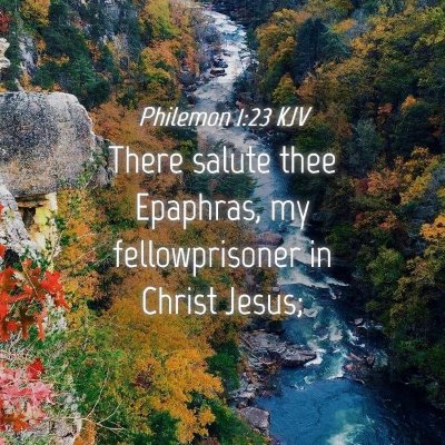 Picture 04 - Philemon 1:23 KJV - There salute thee Epaphras, my fellowprisoner in - Bible Verse Picture