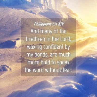 Picture 04 - Philippians 1:14 KJV - And many of the brethren in the Lord, waxing - Bible Verse Picture