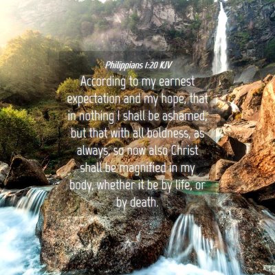 Picture 04 - Philippians 1:20 KJV - According to my earnest expectation and my hope, - Bible Verse Picture