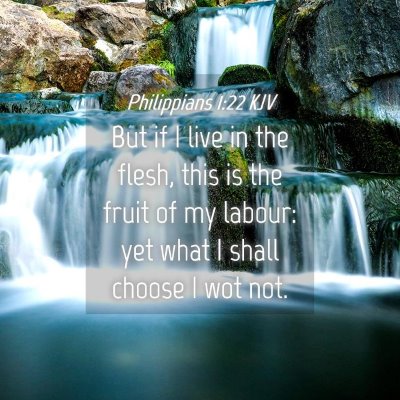 Picture 04 - Philippians 1:22 KJV - But if I live in the flesh, this is the fruit of - Bible Verse Picture