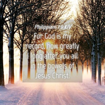 Picture 04 - Philippians 1:8 KJV - For God is my record, how greatly I long after - Bible Verse Picture