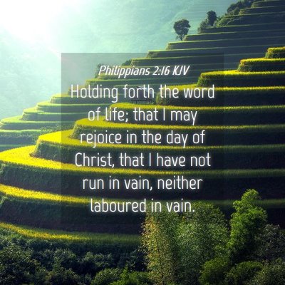 Picture 04 - Philippians 2:16 KJV - Holding forth the word of life; that I may - Bible Verse Picture