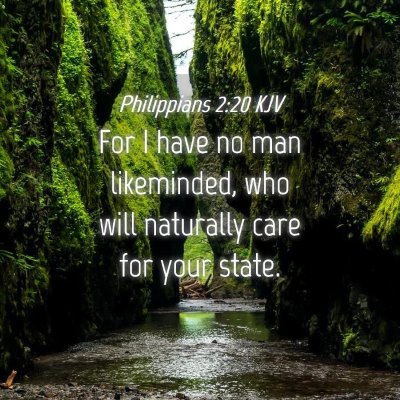 Picture 04 - Philippians 2:20 KJV - For I have no man likeminded, who will naturally - Bible Verse Picture
