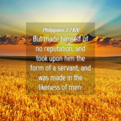 Picture 04 - Philippians 2:7 KJV - But made himself of no reputation, and took upon - Bible Verse Picture