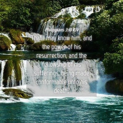 Picture 04 - Philippians 3:10 KJV - That I may know him, and the power of his - Bible Verse Picture