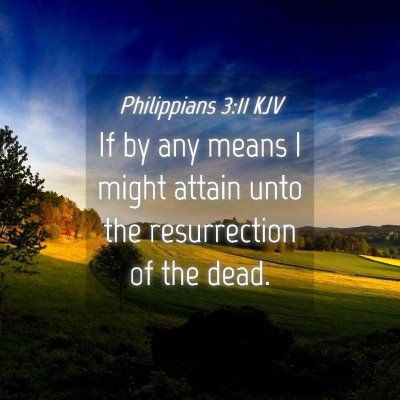 Picture 04 - Philippians 3:11 KJV - If by any means I might attain unto the - Bible Verse Picture