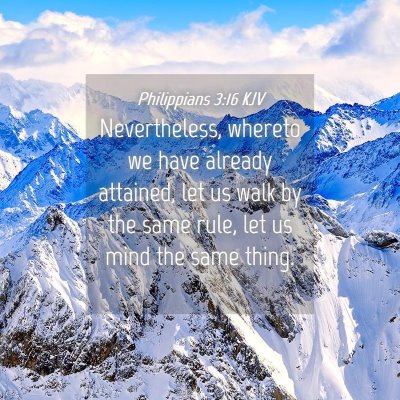 Picture 04 - Philippians 3:16 KJV - Nevertheless, whereto we have already attained, - Bible Verse Picture