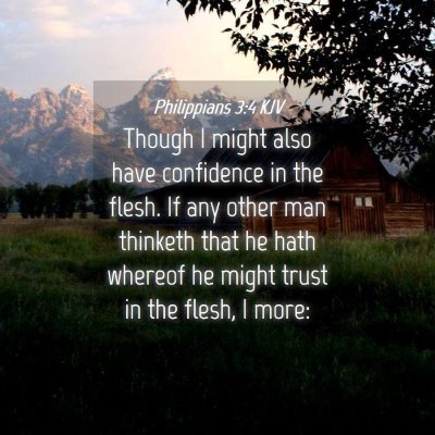 Picture 04 - Philippians 3:4 KJV - Though I might also have confidence in the flesh. - Bible Verse Picture