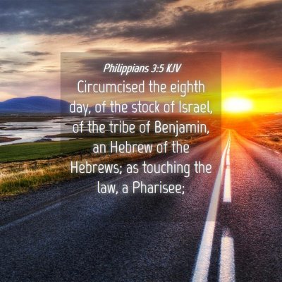 Picture 04 - Philippians 3:5 KJV - Circumcised the eighth day, of the stock of - Bible Verse Picture