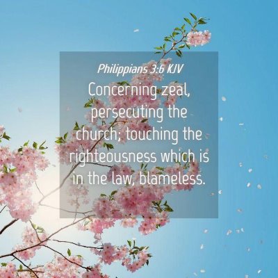 Picture 04 - Philippians 3:6 KJV - Concerning zeal, persecuting the church; touching - Bible Verse Picture