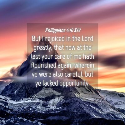 Picture 04 - Philippians 4:10 KJV - But I rejoiced in the Lord greatly, that now at - Bible Verse Picture