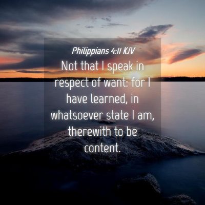 Picture 04 - Philippians 4:11 KJV - Not that I speak in respect of want: for I have - Bible Verse Picture