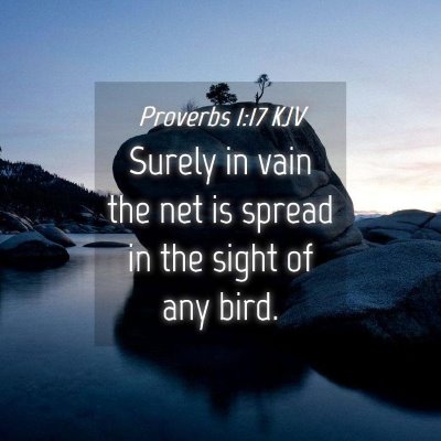 Picture 04 - Proverbs 1:17 KJV - Surely in vain the net is spread in the sight of - Bible Verse Picture