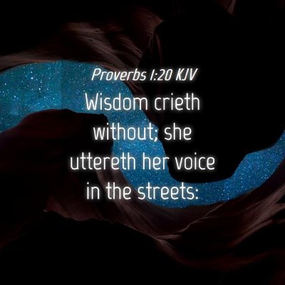 Picture 04 - Proverbs 1:20 KJV - Wisdom crieth without; she uttereth her voice in - Bible Verse Picture