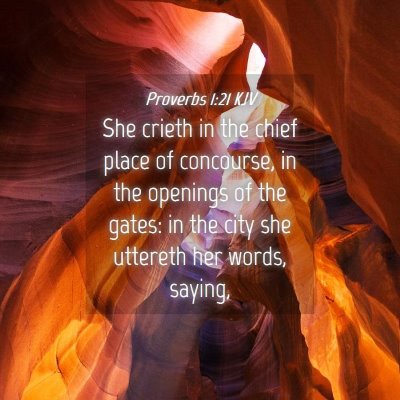 Picture 04 - Proverbs 1:21 KJV - She crieth in the chief place of concourse, in - Bible Verse Picture
