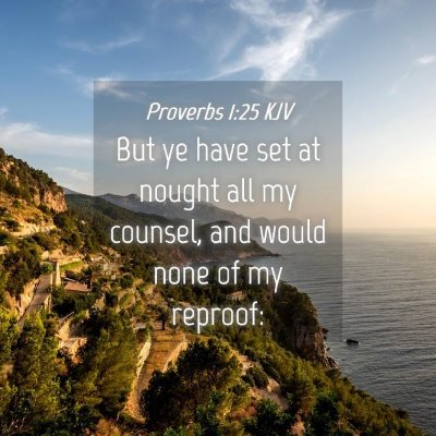 Picture 04 - Proverbs 1:25 KJV - But ye have set at nought all my counsel, and - Bible Verse Picture
