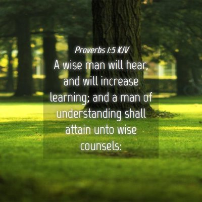 Picture 04 - Proverbs 1:5 KJV - A wise man will hear, and will increase learning; - Bible Verse Picture