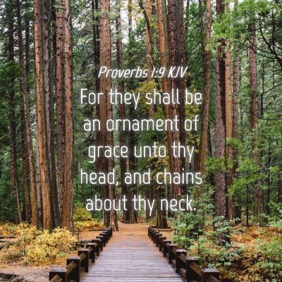 Picture 04 - Proverbs 1:9 KJV - For they shall be an ornament of grace unto thy - Bible Verse Picture