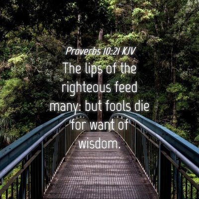 Picture 04 - Proverbs 10:21 KJV - The lips of the righteous feed many: but fools - Bible Verse Picture