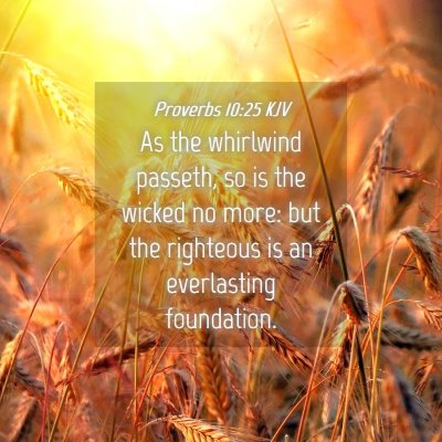 Picture 04 - Proverbs 10:25 KJV - As the whirlwind passeth, so is the wicked no - Bible Verse Picture