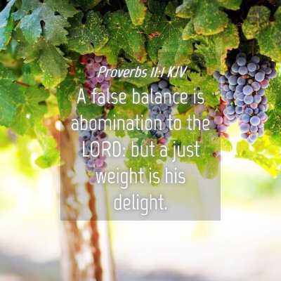 Picture 04 - Proverbs 11:1 KJV - A false balance is abomination to the LORD: but a - Bible Verse Picture