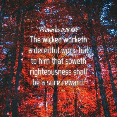 Picture 04 - Proverbs 11:18 KJV - The wicked worketh a deceitful work: but to him - Bible Verse Picture