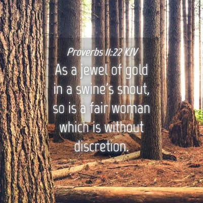Picture 04 - Proverbs 11:22 KJV - As a jewel of gold in a swine's snout, so is a - Bible Verse Picture