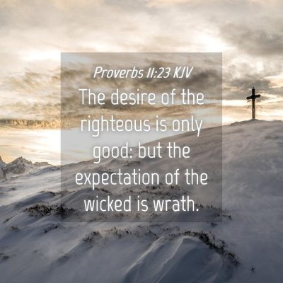 Picture 04 - Proverbs 11:23 KJV - The desire of the righteous is only good: but the - Bible Verse Picture