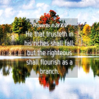 Picture 04 - Proverbs 11:28 KJV - He that trusteth in his riches shall fall; but - Bible Verse Picture
