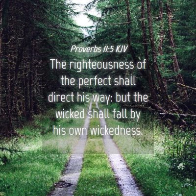 Picture 04 - Proverbs 11:5 KJV - The righteousness of the perfect shall direct his - Bible Verse Picture
