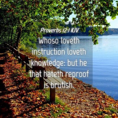 Picture 04 - Proverbs 12:1 KJV - Whoso loveth instruction loveth knowledge: but he - Bible Verse Picture