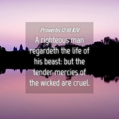 Picture 04 - Proverbs 12:10 KJV - A righteous man regardeth the life of his beast: - Bible Verse Picture