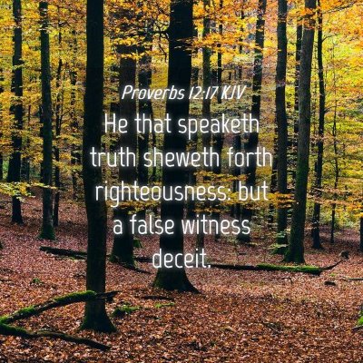 Picture 04 - Proverbs 12:17 KJV - He that speaketh truth sheweth forth - Bible Verse Picture