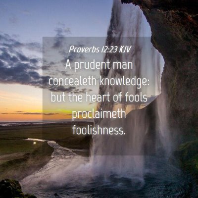Picture 04 - Proverbs 12:23 KJV - A prudent man concealeth knowledge: but the heart - Bible Verse Picture